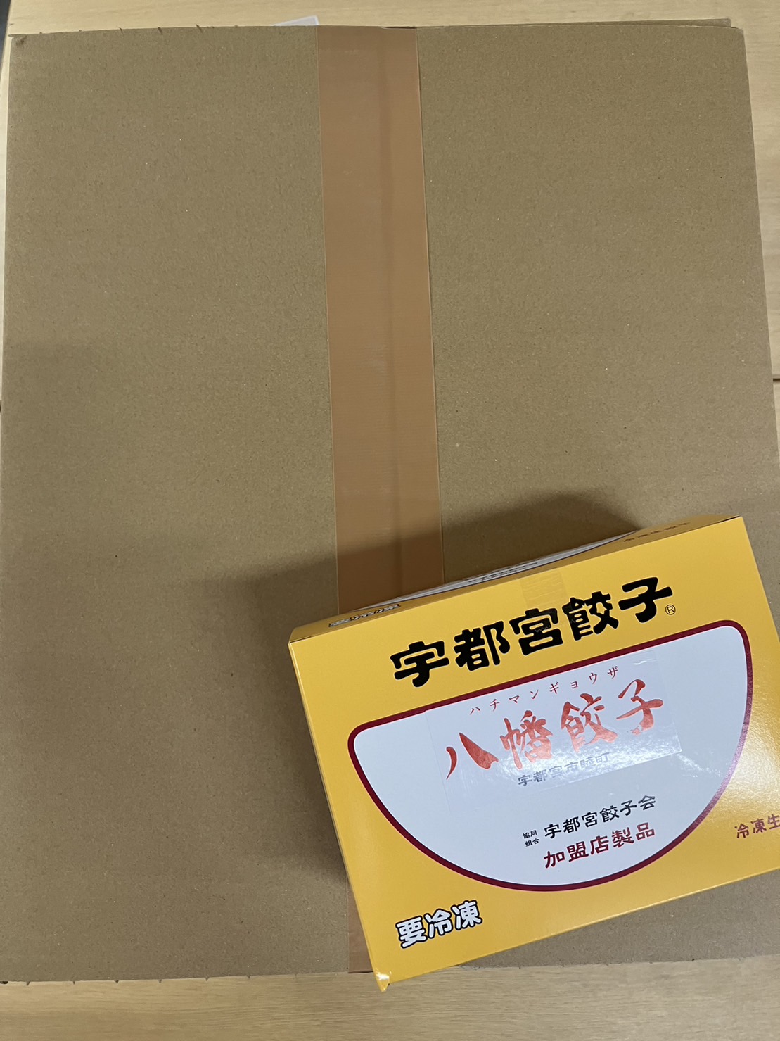 餃子BOX（箱　22BOX入り）